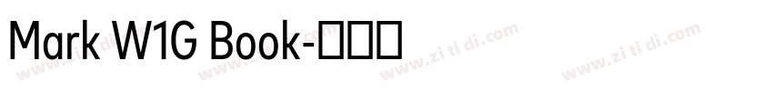 Mark W1G Book字体转换 Mark W1G Book字体转换